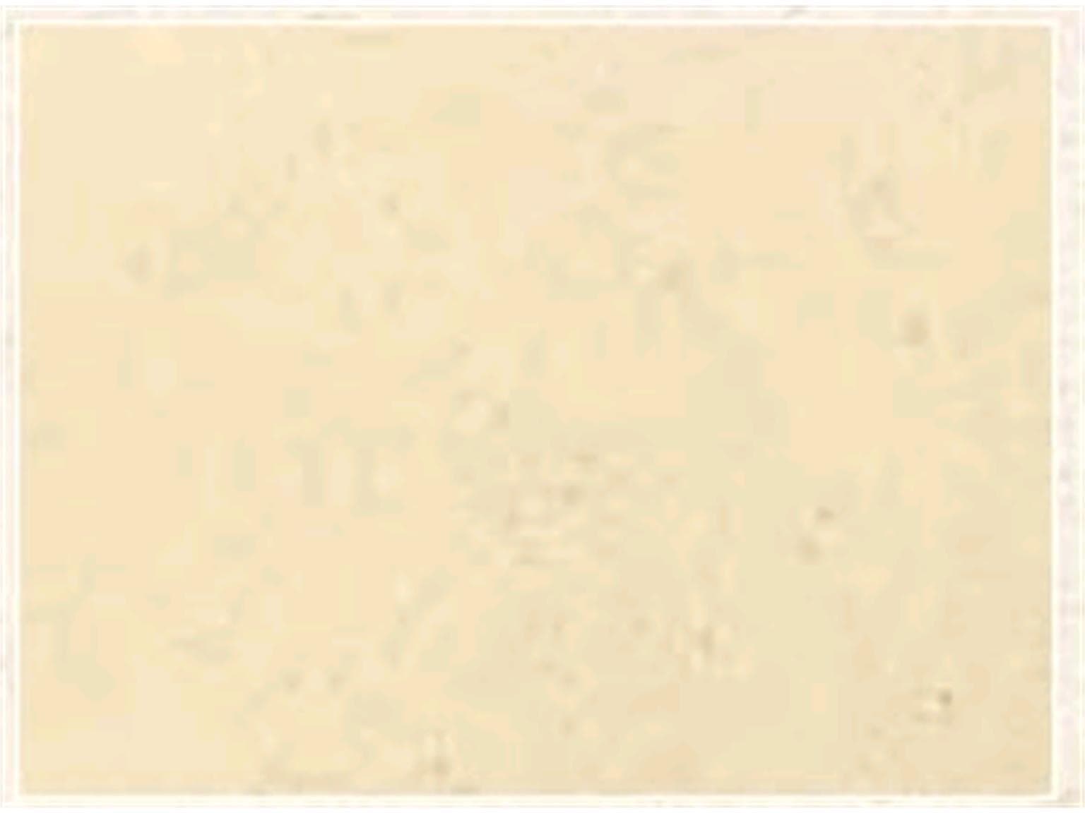 Tischset Graspapier, 40 x 30 cm, BASIC Graspapier